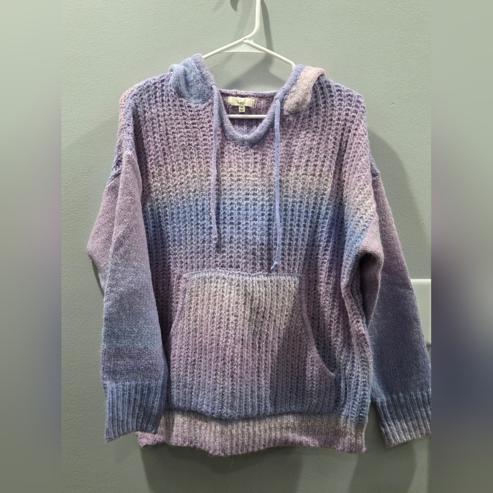 Ombre Easel Hooded Sweater - Medium